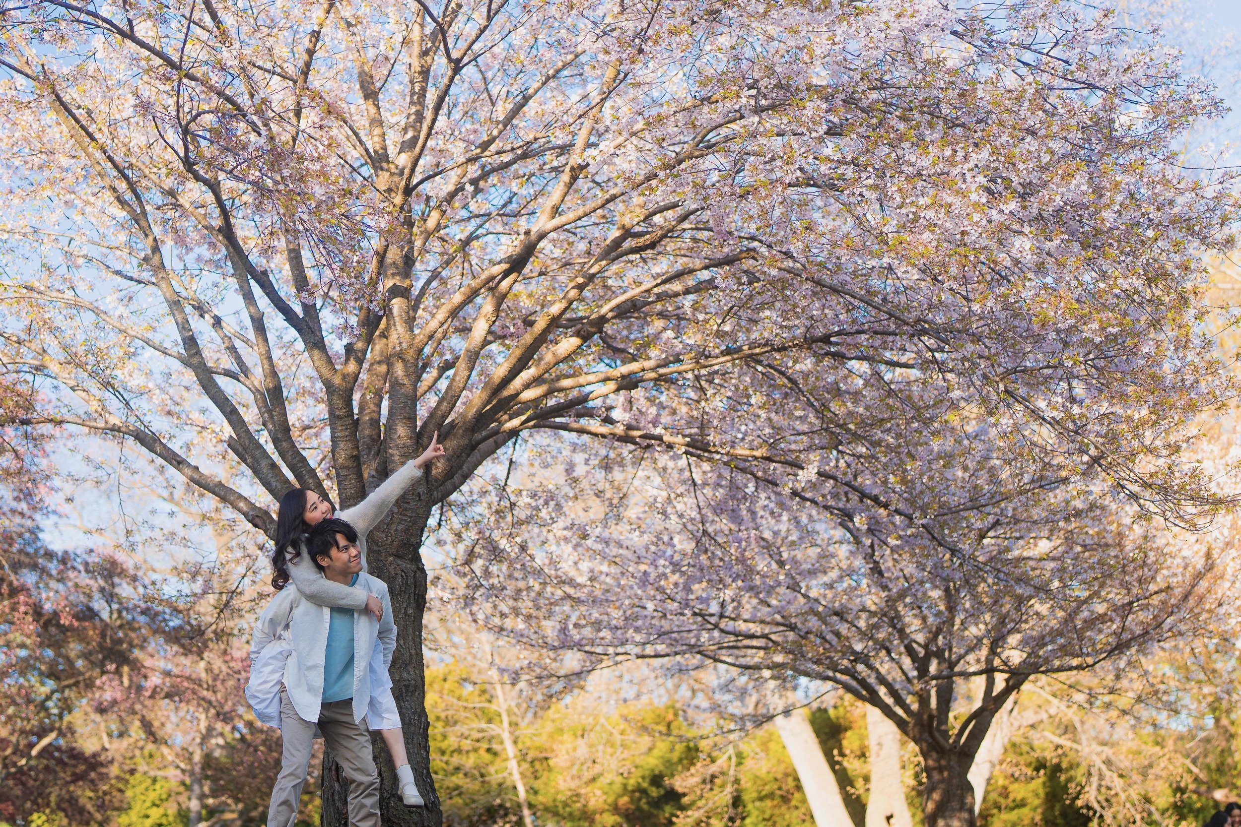High Park couple session