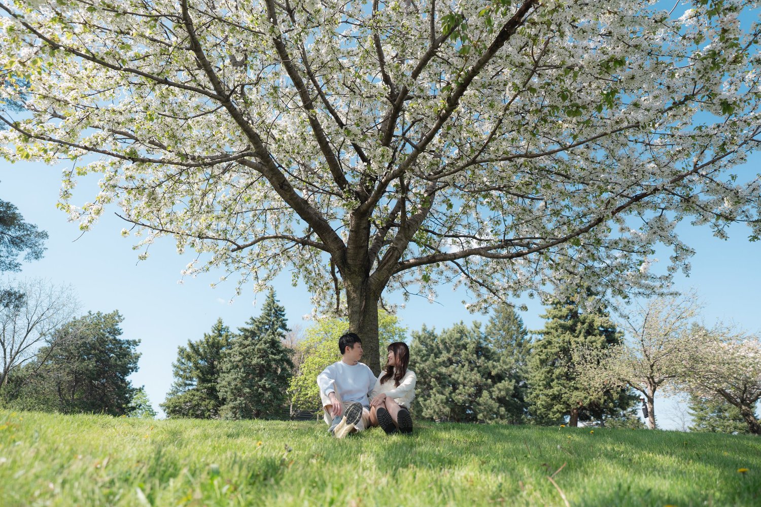 Centennial Park couple session