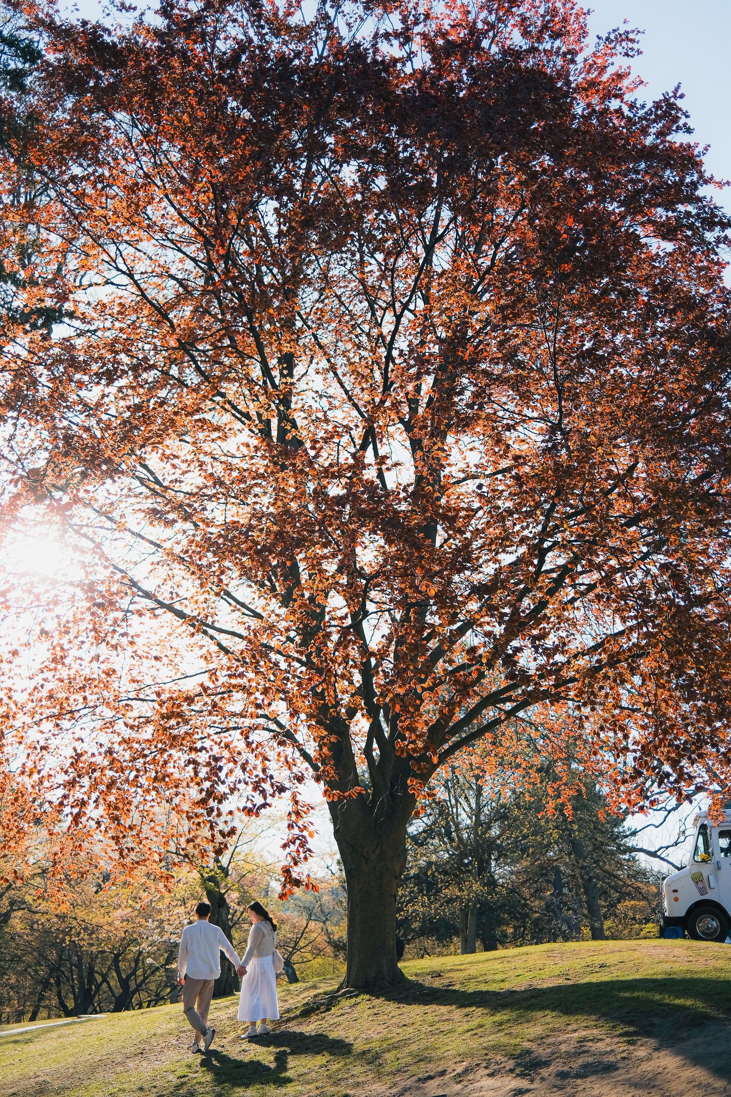 High Park couple session