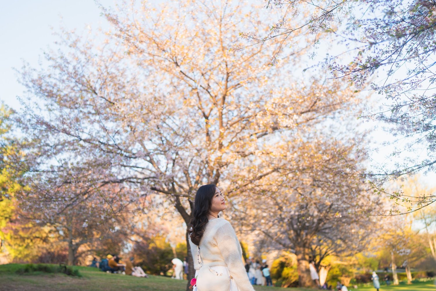 High Park couple session