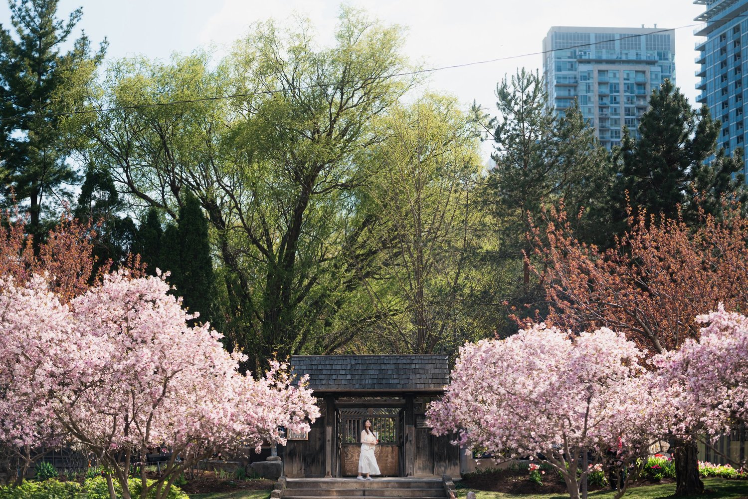 Kariya Park portrait