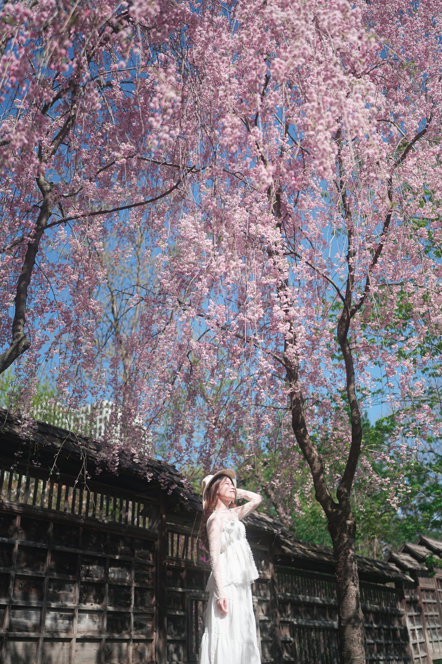 Kariya Park portrait